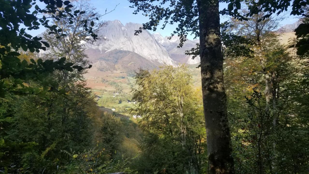 Gite De Montagne Du Plateau De Lhers- Accueil Randonneurs Accous Kültér fotó