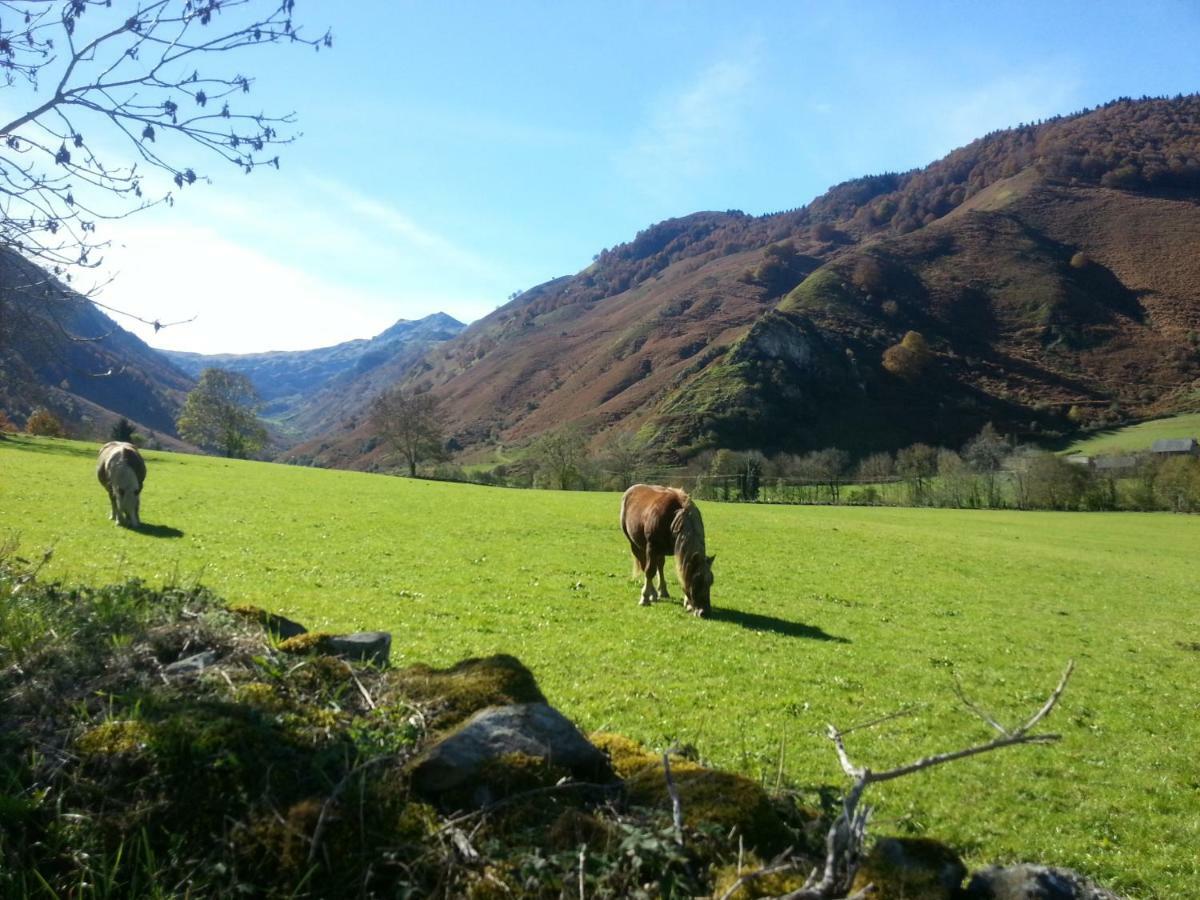 Gite De Montagne Du Plateau De Lhers- Accueil Randonneurs Accous Kültér fotó