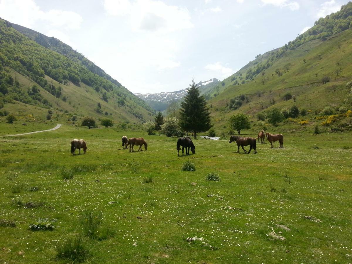 Gite De Montagne Du Plateau De Lhers- Accueil Randonneurs Accous Kültér fotó